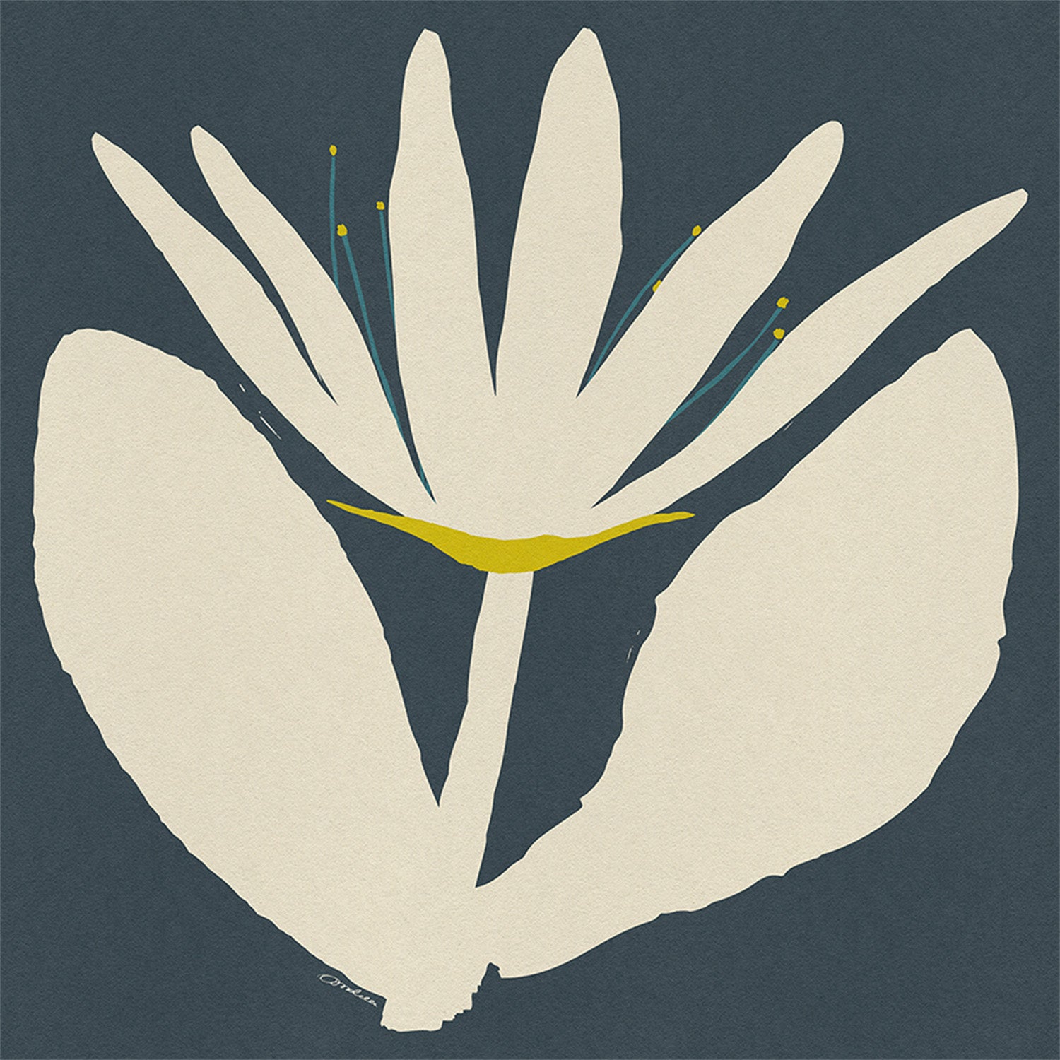 wall-art-print-canvas-poster-framed-Open Cream Flower On Blue-1