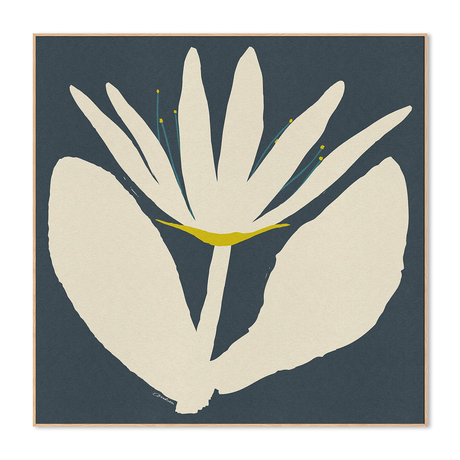 wall-art-print-canvas-poster-framed-Open Cream Flower On Blue-4