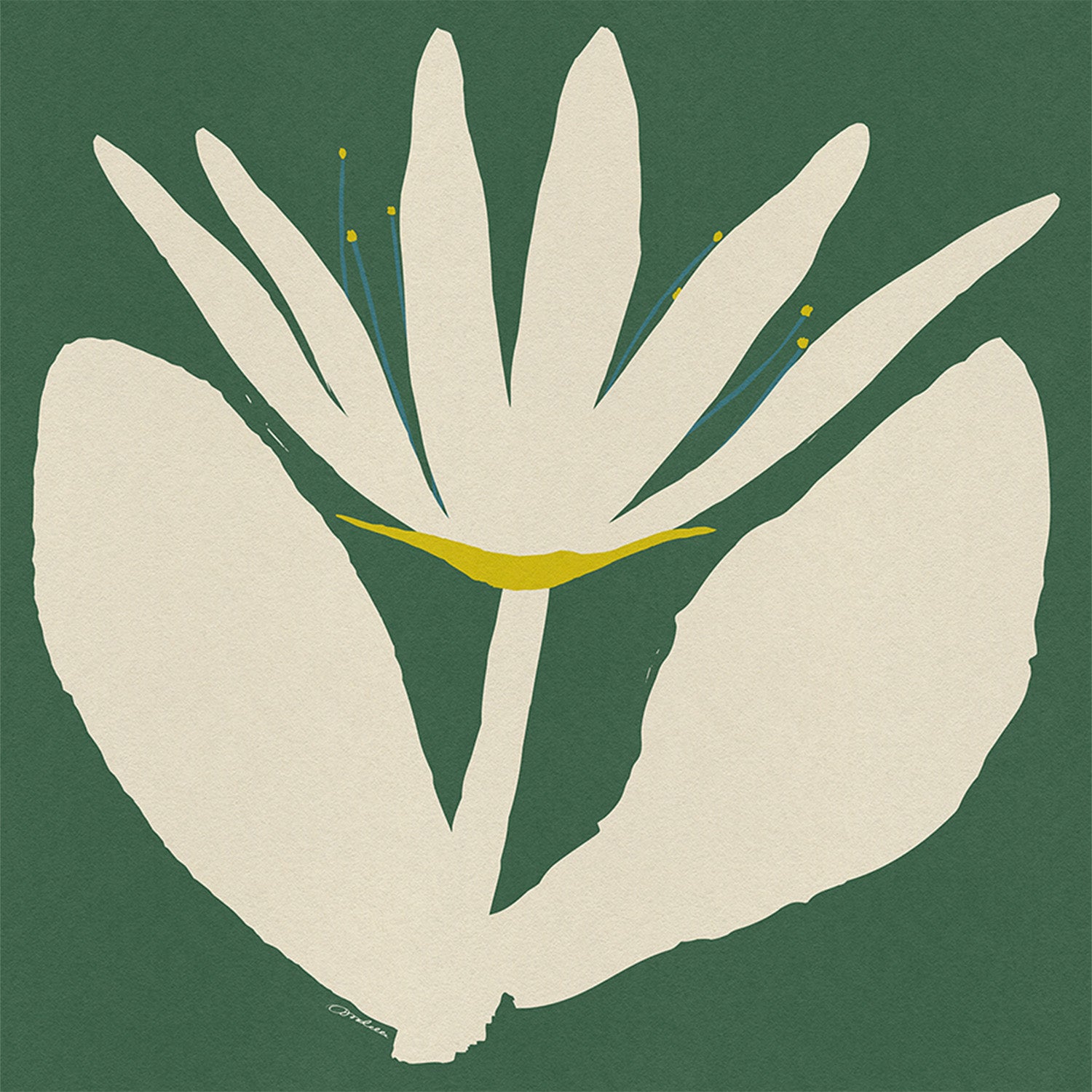 wall-art-print-canvas-poster-framed-Open Cream Flower On Green-1