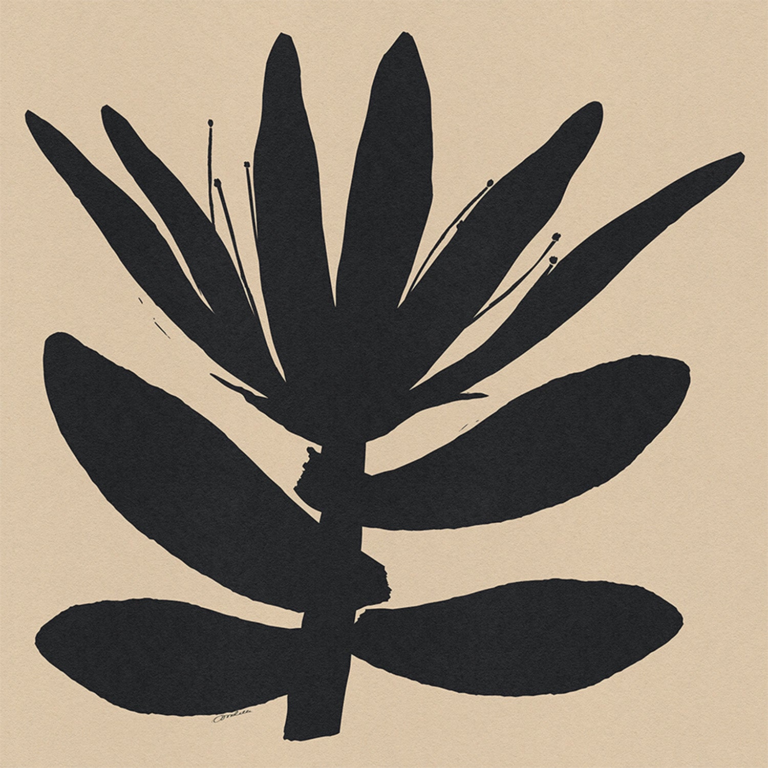 wall-art-print-canvas-poster-framed-Open Narrow Petals Flower On Beige-1