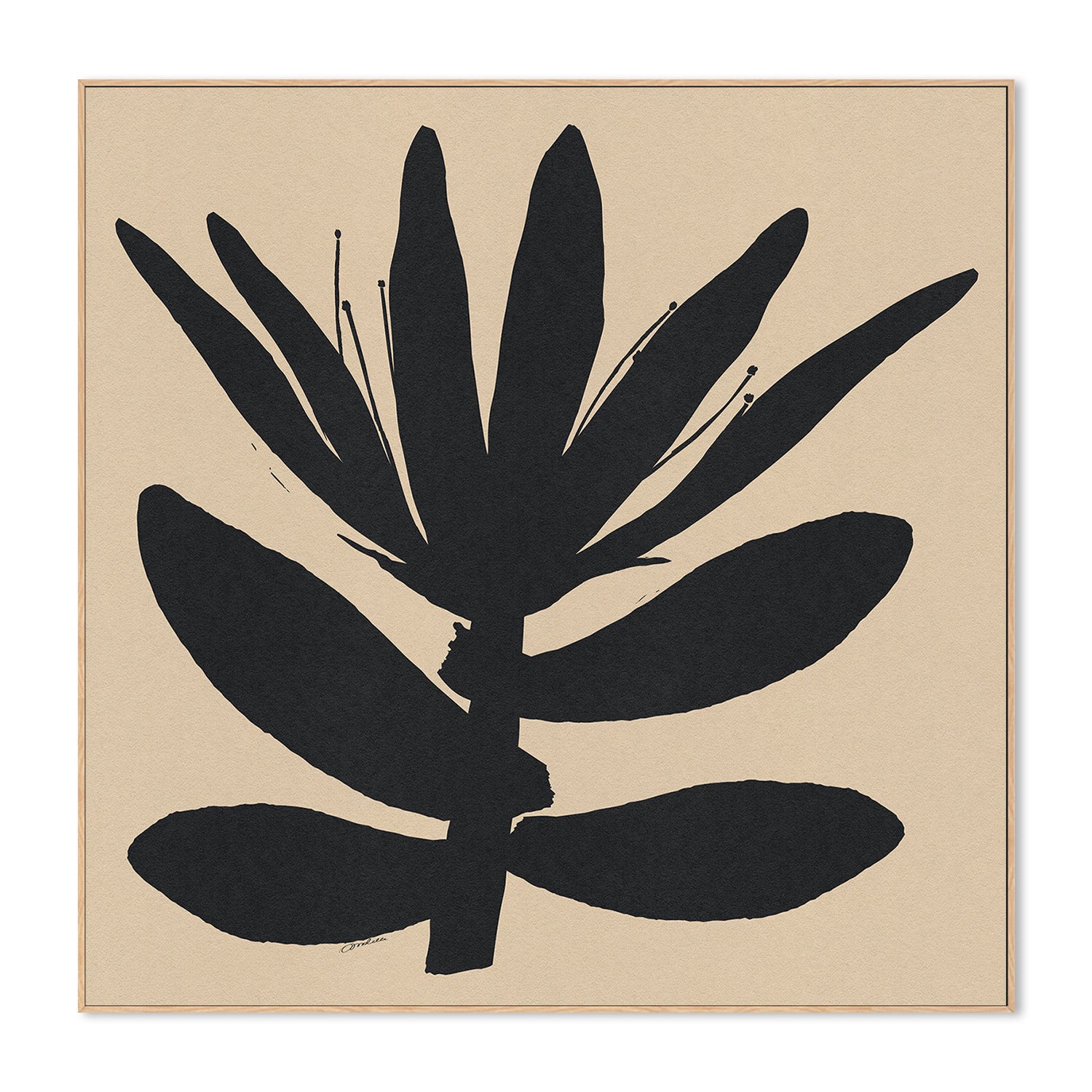 wall-art-print-canvas-poster-framed-Open Narrow Petals Flower On Beige-4