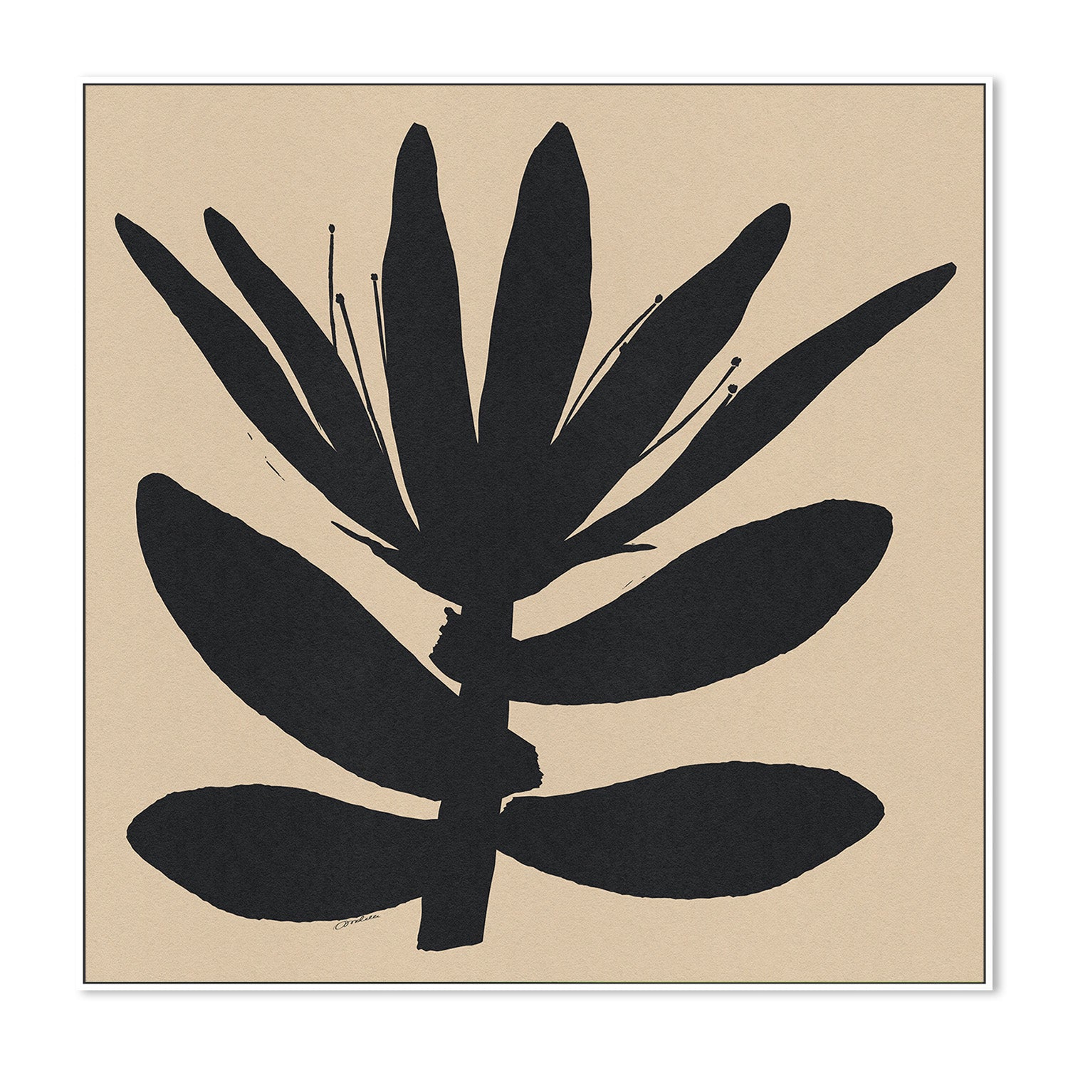 wall-art-print-canvas-poster-framed-Open Narrow Petals Flower On Beige-5