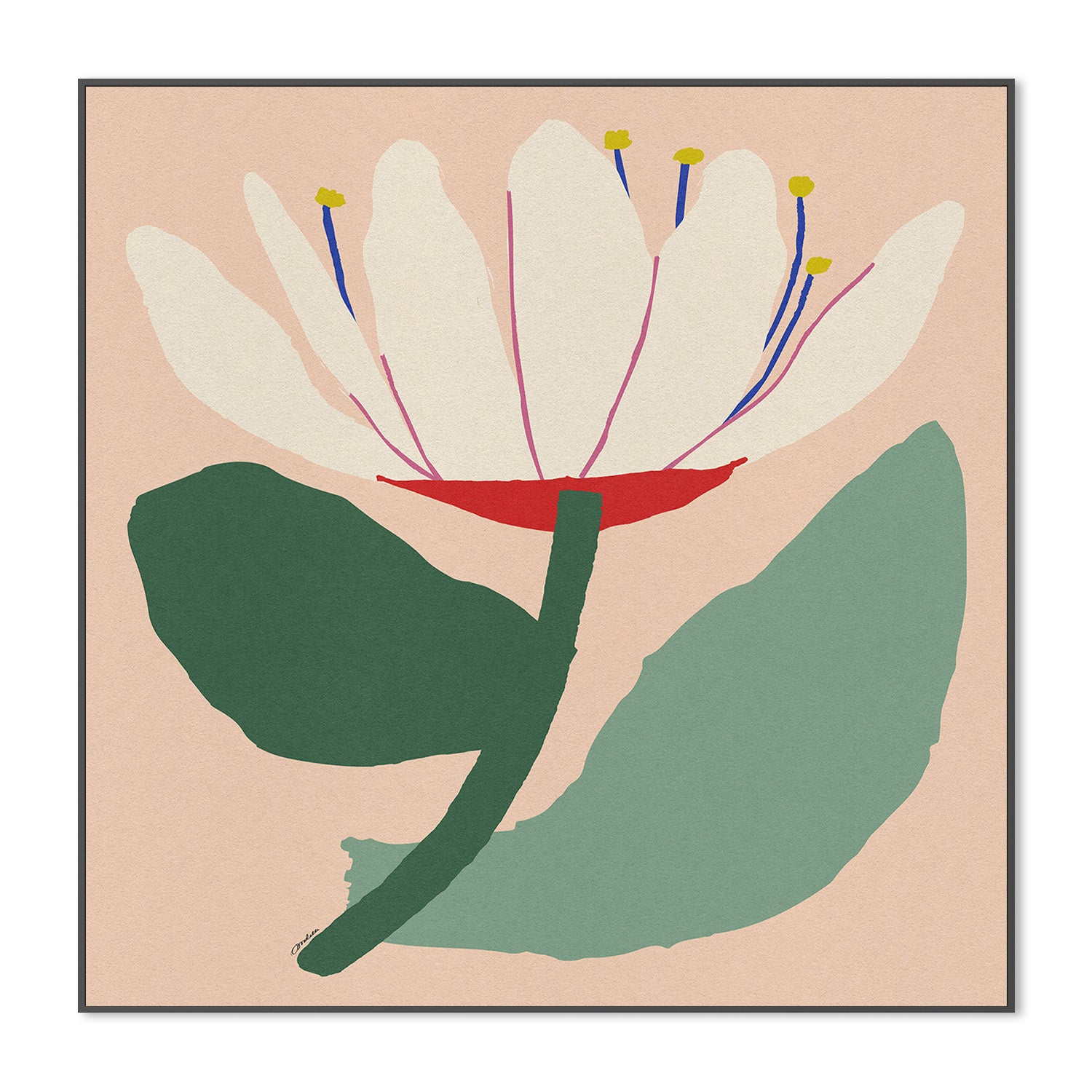 wall-art-print-canvas-poster-framed-Open White Flower-3