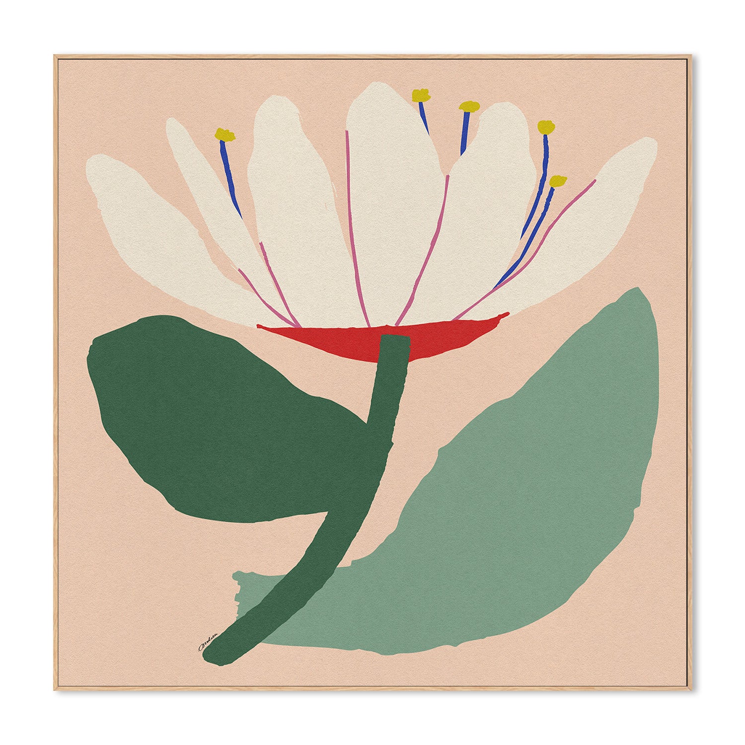 wall-art-print-canvas-poster-framed-Open White Flower-4