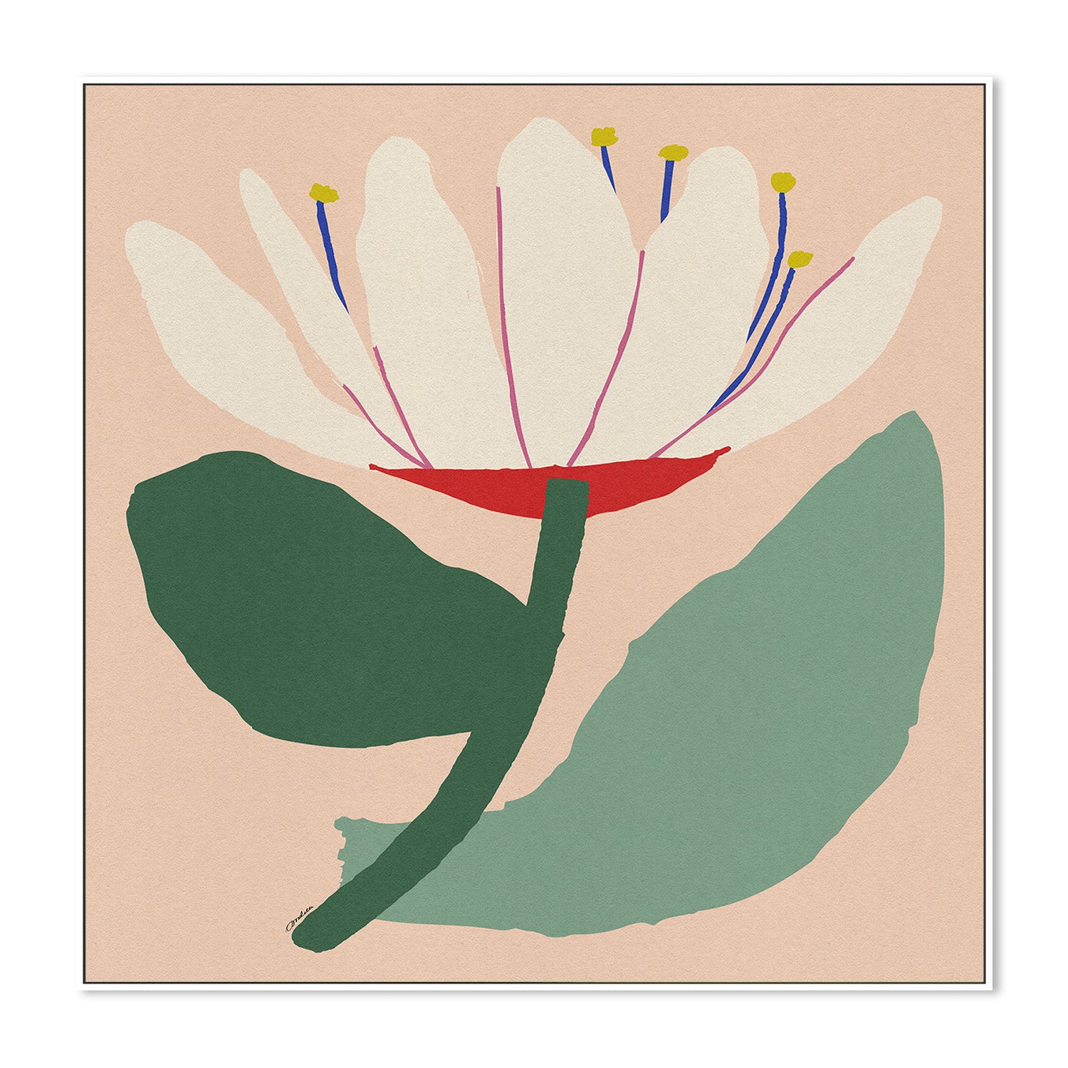 wall-art-print-canvas-poster-framed-Open White Flower-5