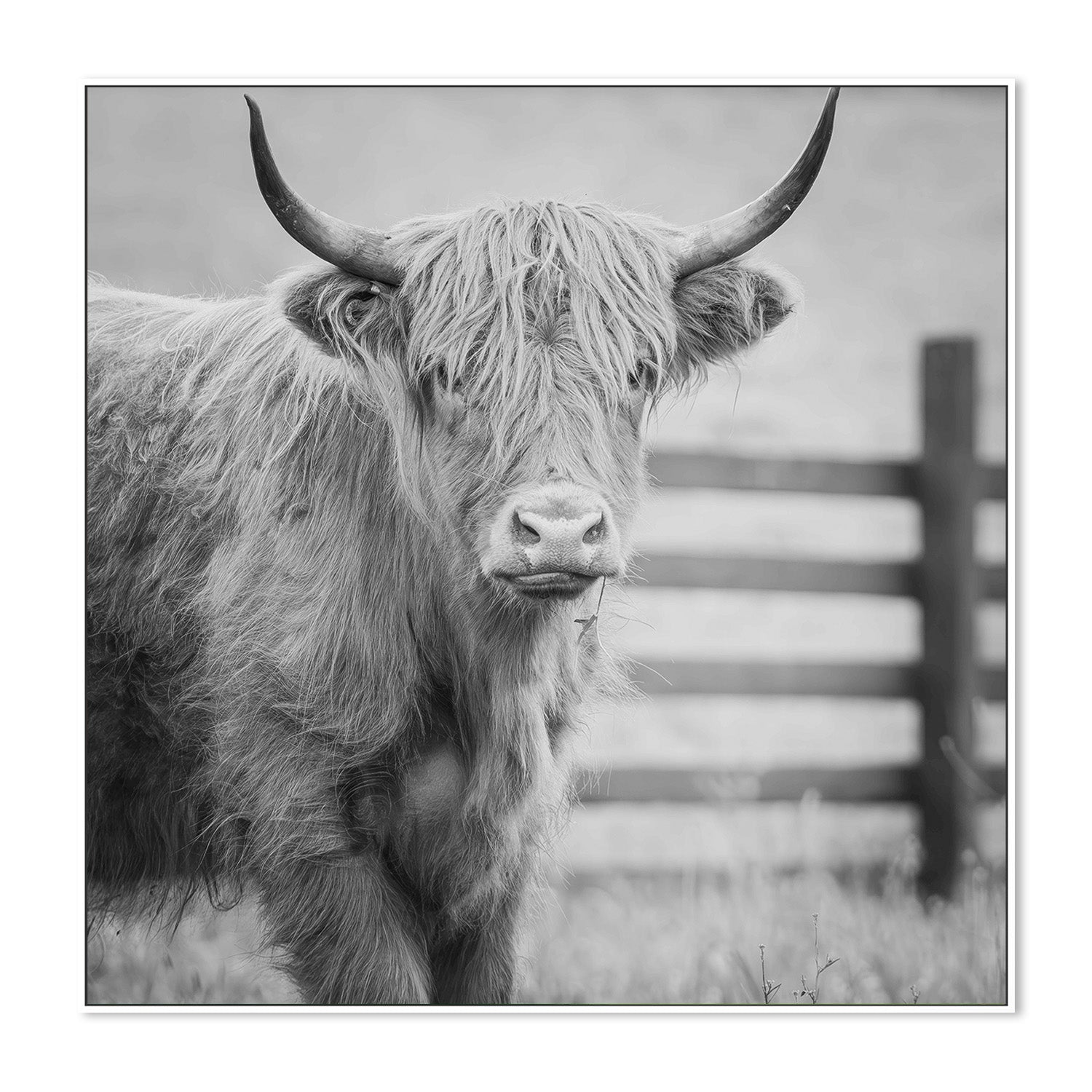 wall-art-print-canvas-poster-framed-Pablo Picowsso-5