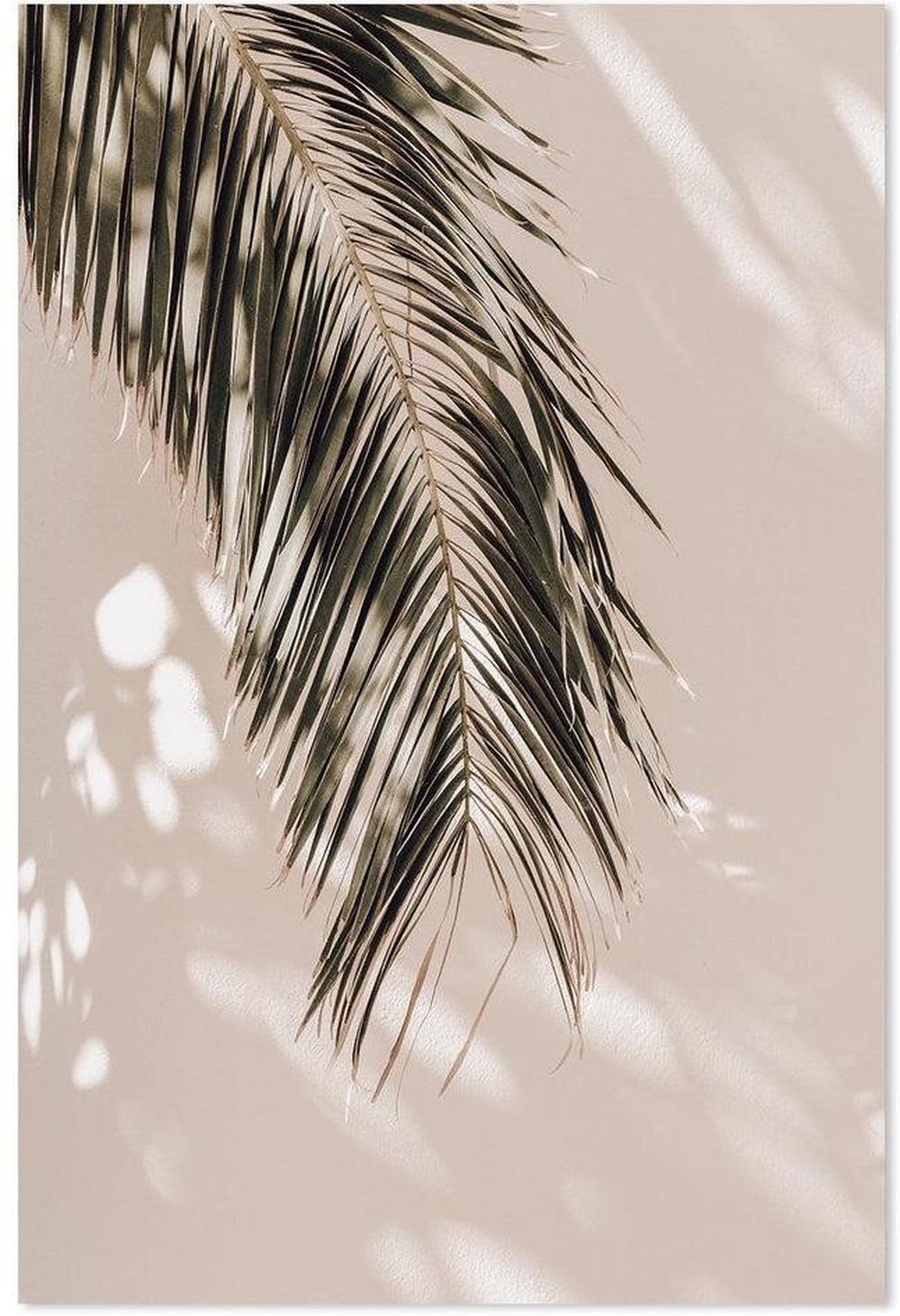 wall-art-print-canvas-poster-framed-Palm Leaf Shadows-by-Gioia Wall Art-Gioia Wall Art
