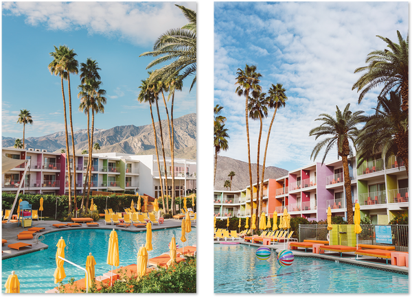 Palm Springs Pool Club A2サイズ額装作品 Palm Springs Saguaro &amp