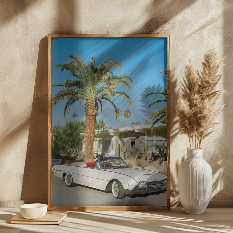wall-art-print-canvas-poster-framed-Palm Springs Thunderbird , By Bethany Young-2