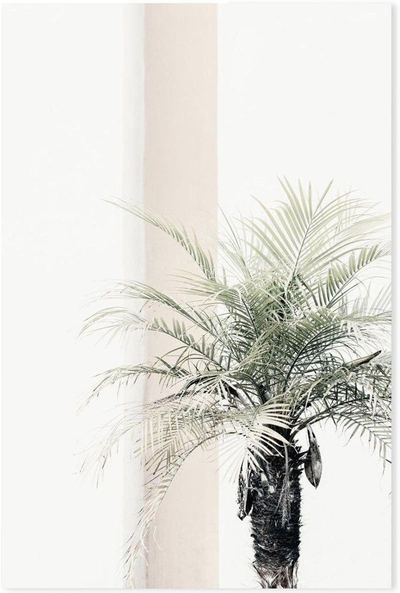 Palm Tree-Gioia-Prints-Framed-Canvas-Poster-GIOIA-WALL-ART