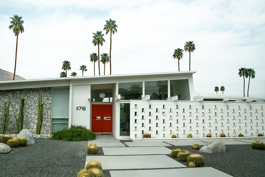 wall-art-print-canvas-poster-framed-Palm Vista , By Tricia Brennan-1