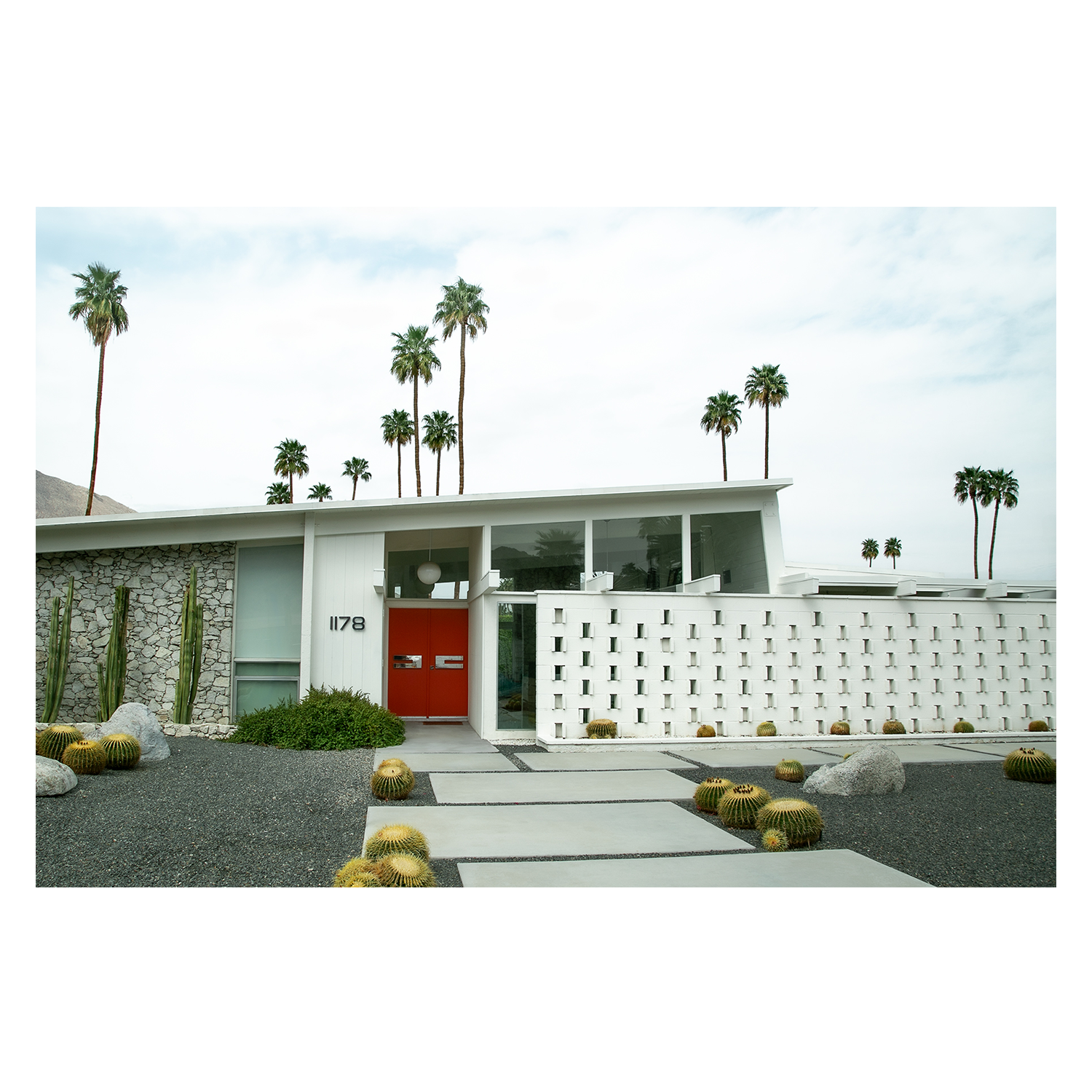 wall-art-print-canvas-poster-framed-Palm Vista , By Tricia Brennan-2