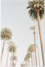 Buy Palms On Beverly Hills Wall Art Online, Framed Canvas Or Poster