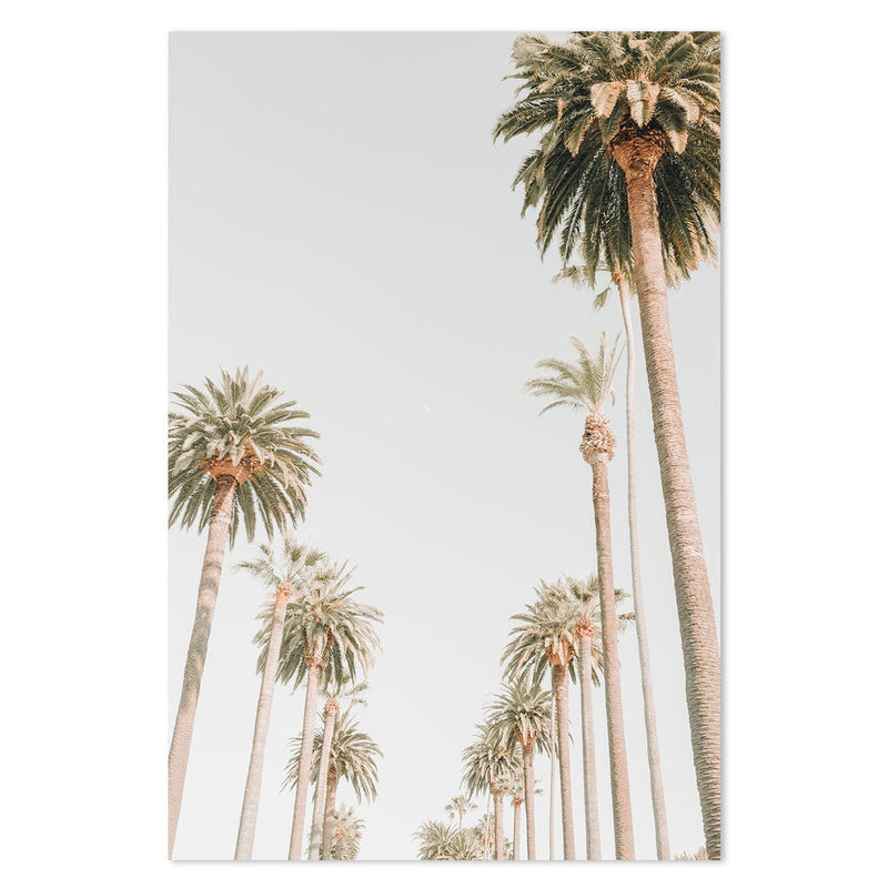 Buy Palms On Beverly Hills Wall Art Online, Framed Canvas Or Poster