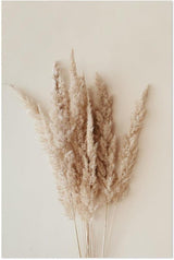 wall-art-print-canvas-poster-framed-Pampas Bunch-by-Gioia Wall Art-Gioia Wall Art