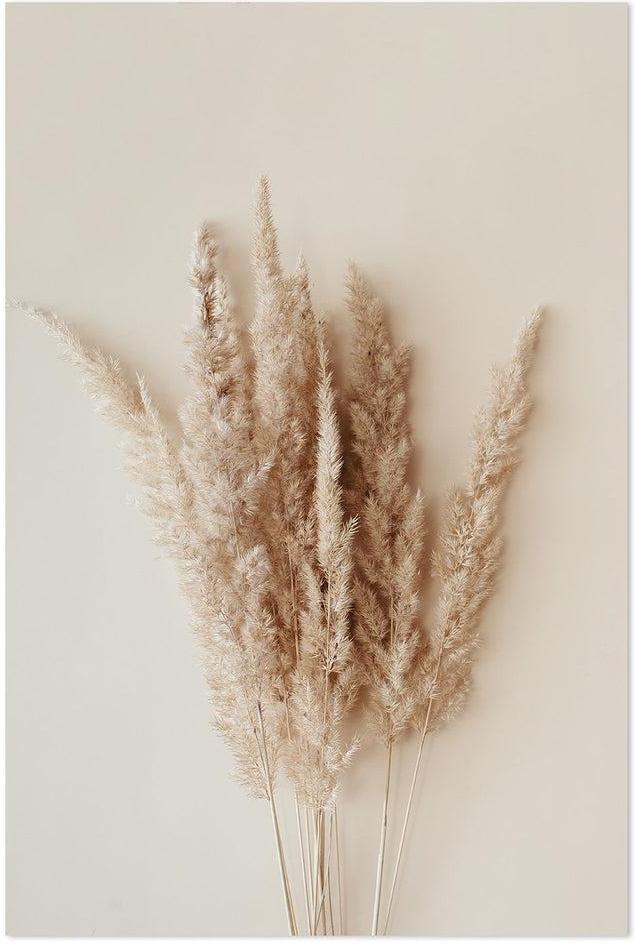 wall-art-print-canvas-poster-framed-Pampas Bunch-by-Gioia Wall Art-Gioia Wall Art