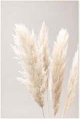 wall-art-print-canvas-poster-framed-Pampas Grass Grey, Style B-by-Plus X Studio-Gioia Wall Art