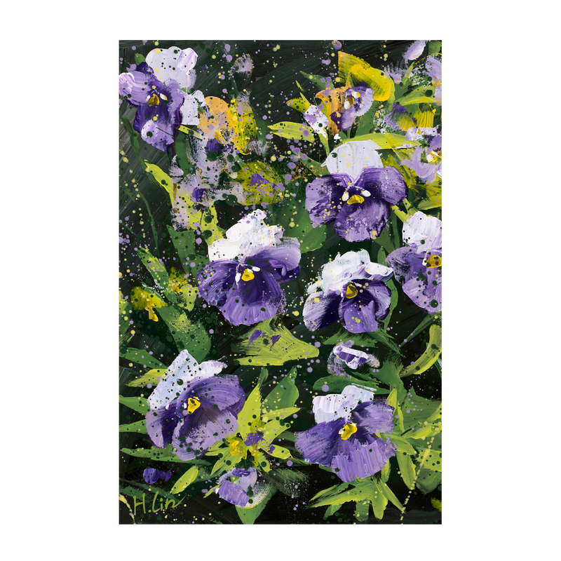 Pansies, Violas, Swiss Giant, Purple and White , By Hsin Lin
