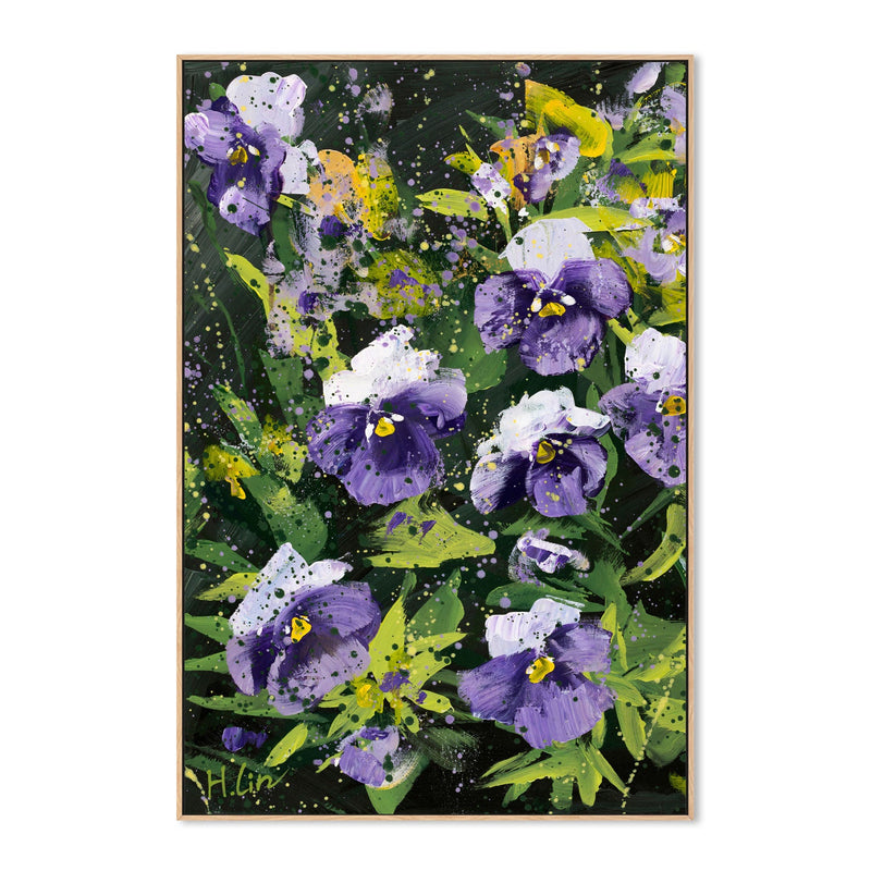 Pansies, Violas, Swiss Giant, Purple and White , By Hsin Lin