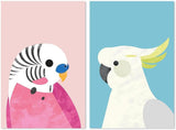 wall-art-print-canvas-poster-framed-Parrot And Budgie, Set Of 2, Style B , By Dan Hobday-by-Dan Hobday-Gioia Wall Art