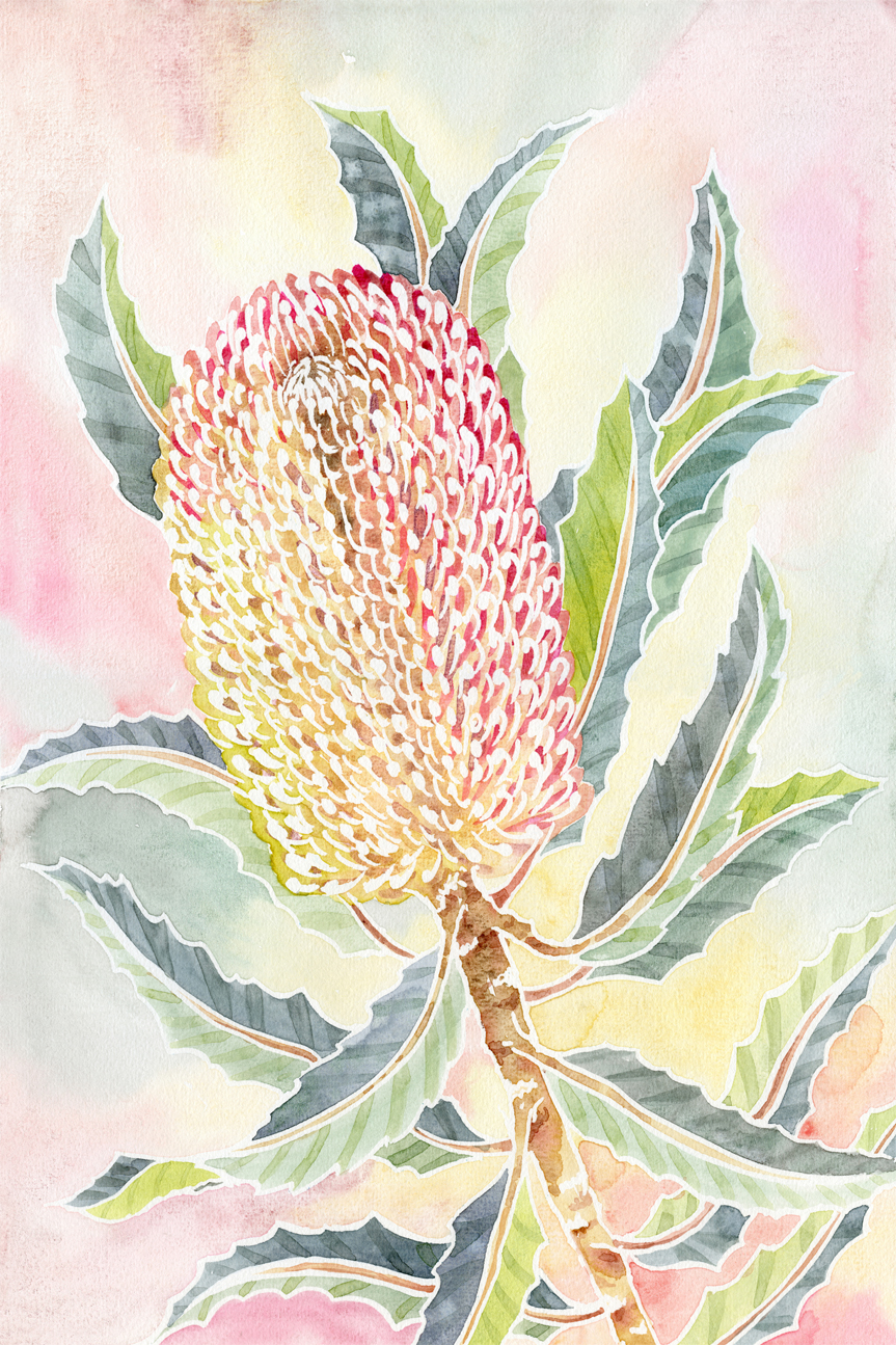 wall-art-print-canvas-poster-framed-Pastel Banksia , By Jessie Mitchelson-GIOIA-WALL-ART