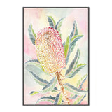 wall-art-print-canvas-poster-framed-Pastel Banksia , By Jessie Mitchelson-GIOIA-WALL-ART