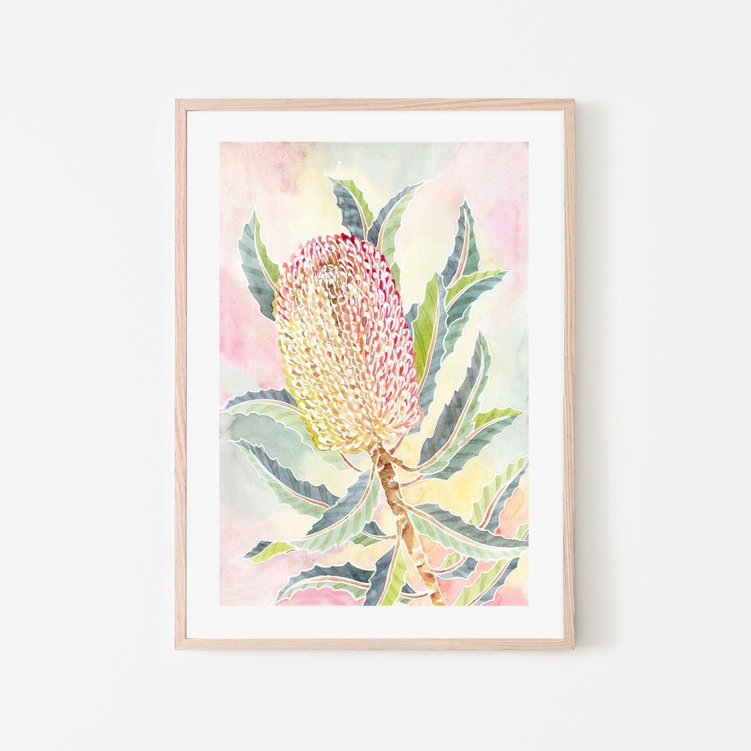wall-art-print-canvas-poster-framed-Pastel Banksia , By Jessie Mitchelson-GIOIA-WALL-ART