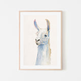 wall-art-print-canvas-poster-framed-Pastel Llama, Style B , By Avery Tilmon-GIOIA-WALL-ART