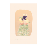 wall-art-print-canvas-poster-framed-Pastel Pansy , By La Poire-GIOIA-WALL-ART