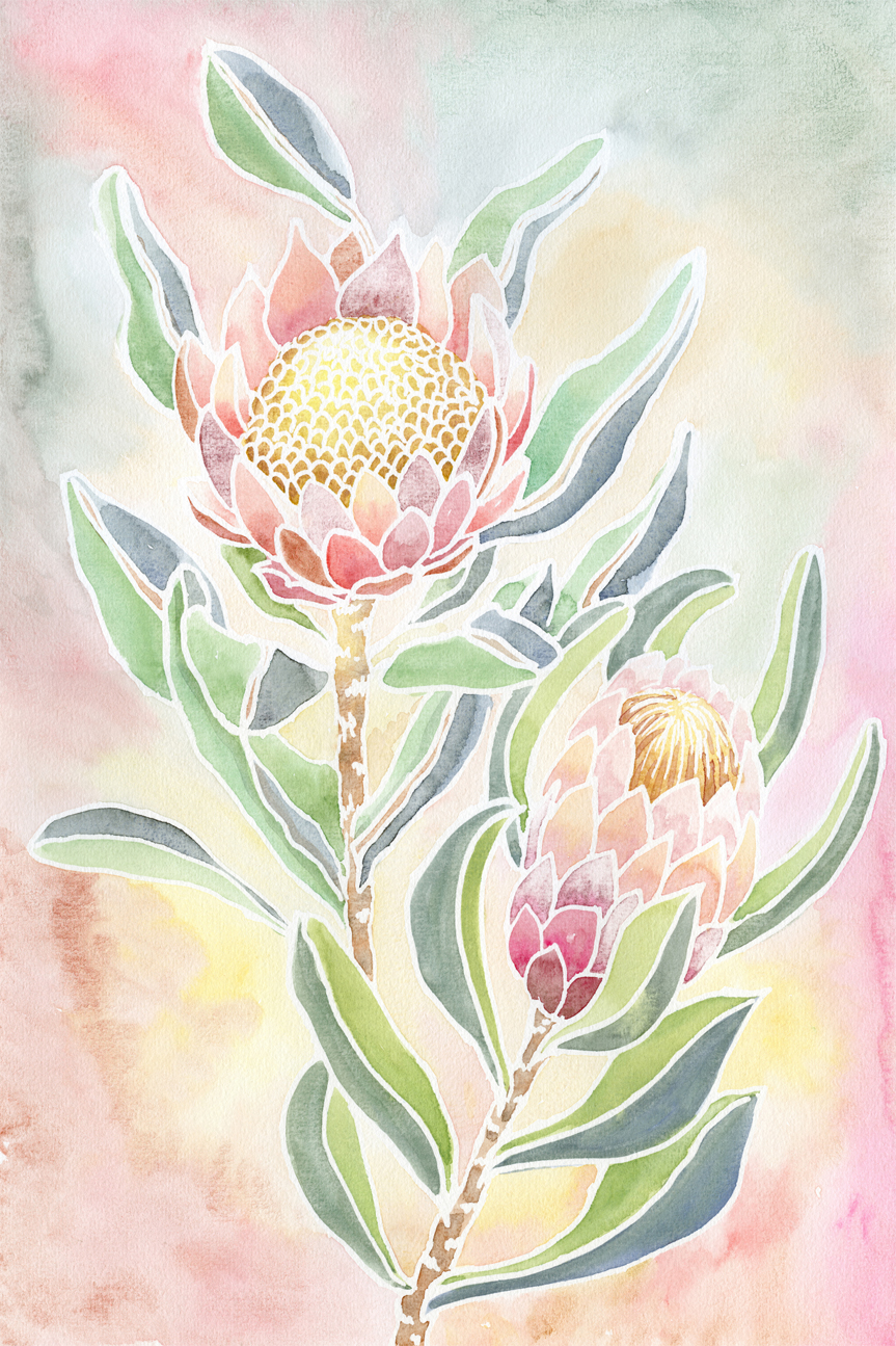 wall-art-print-canvas-poster-framed-Pastel Proteas , By Jessie Mitchelson-GIOIA-WALL-ART
