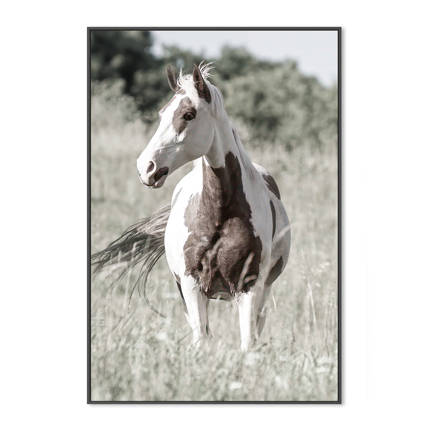 wall-art-print-canvas-poster-framed-Pasture Grace-3