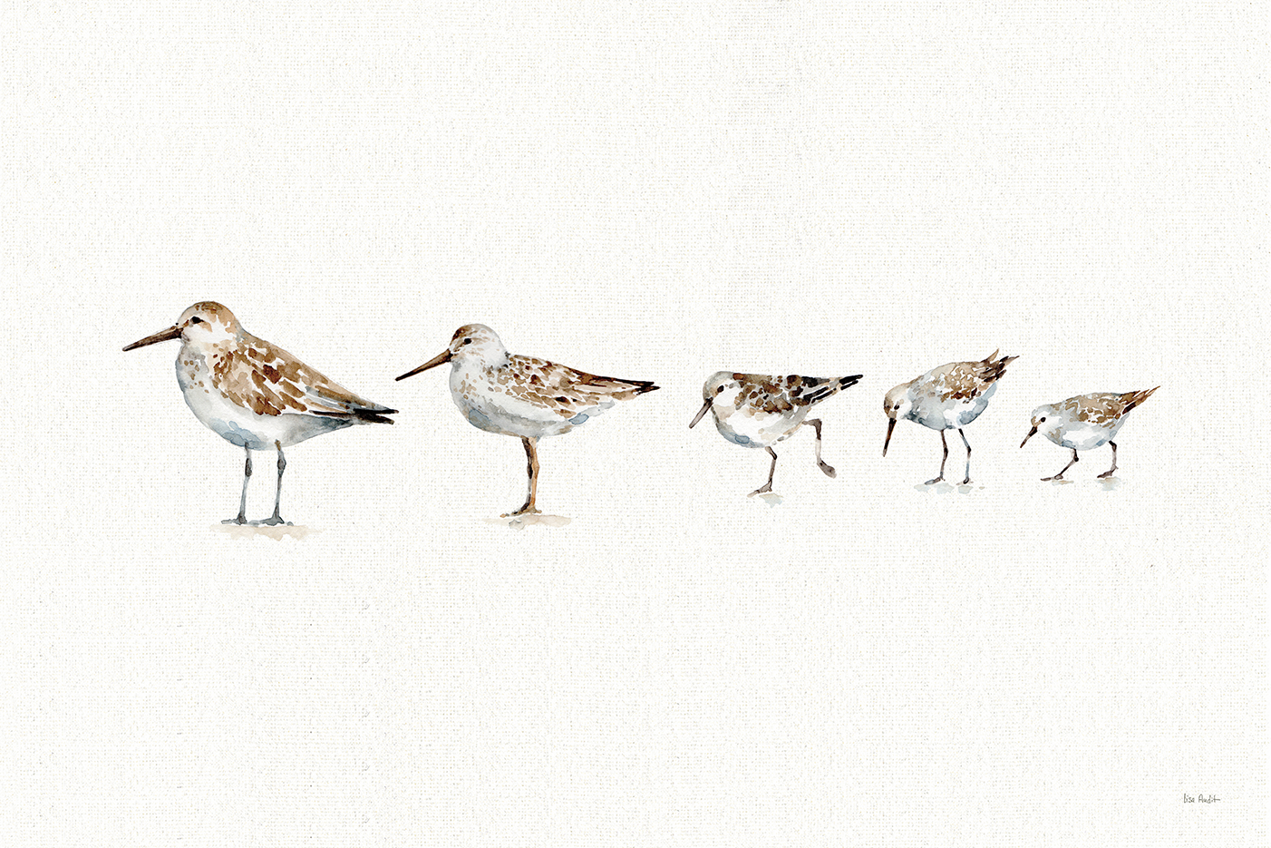 wall-art-print-canvas-poster-framed-Pebbles And Sandpipers , By Lisa Audit-GIOIA-WALL-ART