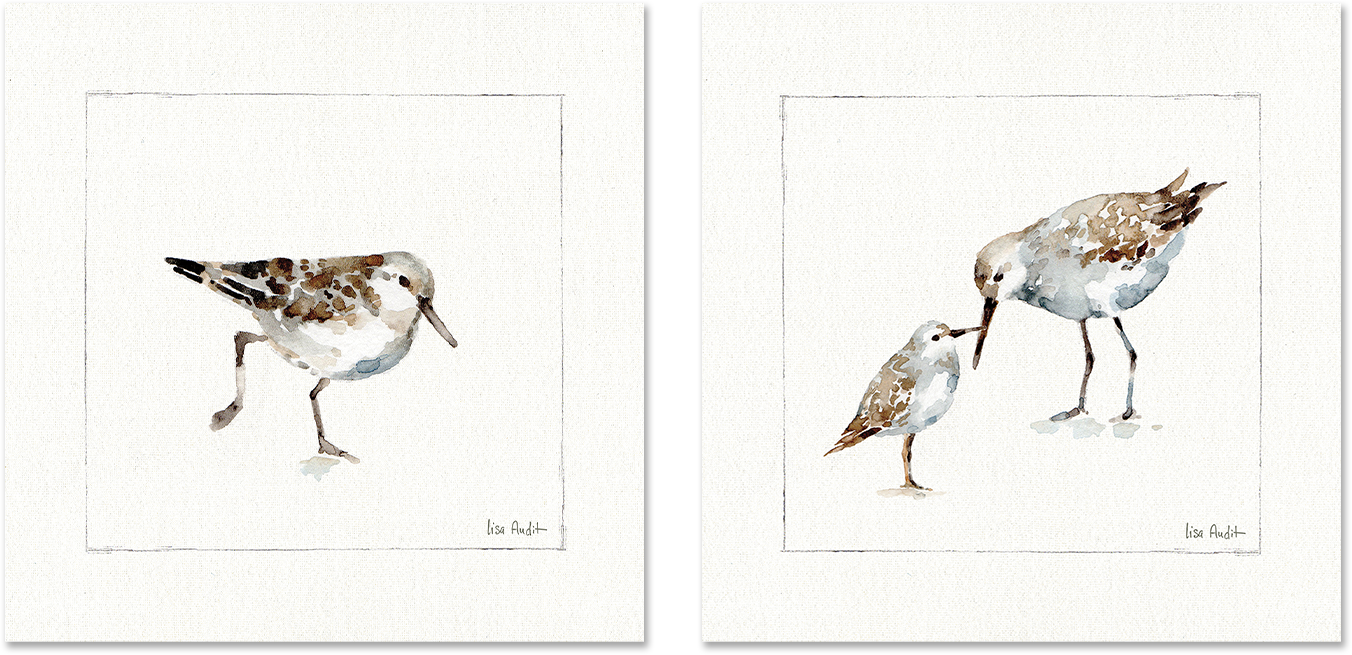 wall-art-print-canvas-poster-framed-Pebbles And Sandpipers, Style A & B, Set Of 2 , By Lisa Audit-GIOIA-WALL-ART