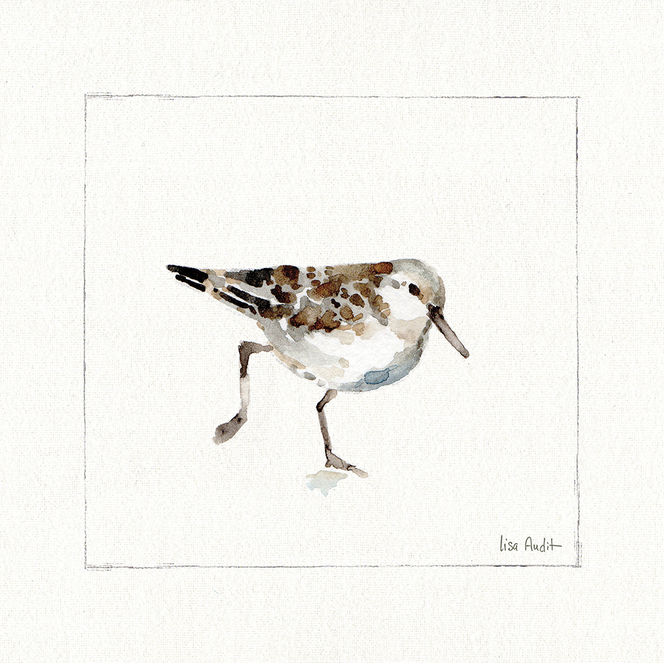 wall-art-print-canvas-poster-framed-Pebbles And Sandpipers, Style A , By Lisa Audit-GIOIA-WALL-ART