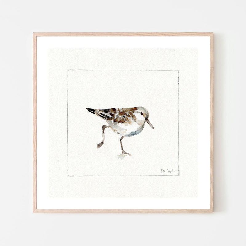wall-art-print-canvas-poster-framed-Pebbles And Sandpipers, Style A , By Lisa Audit-GIOIA-WALL-ART