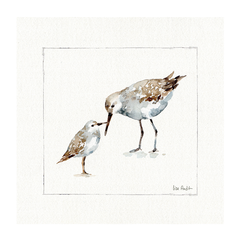 wall-art-print-canvas-poster-framed-Pebbles And Sandpipers, Style B , By Lisa Audit-GIOIA-WALL-ART