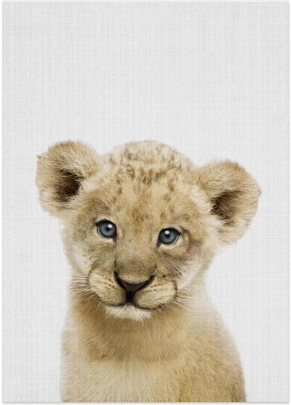 wall-art-print-canvas-poster-framed-Peekaboo Baby Lion , By Lola Peacock-1