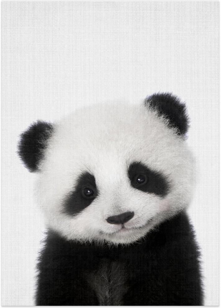 wall-art-print-canvas-poster-framed-Peekaboo Baby Panda , By Lola Peacock-1