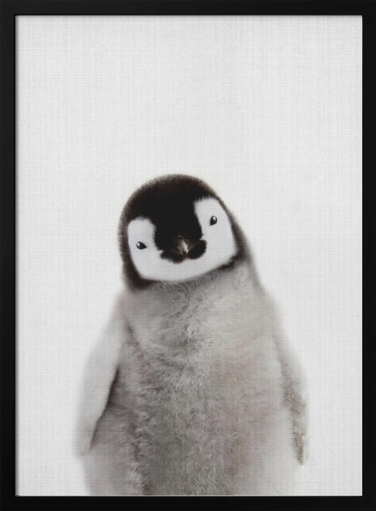 版画 Baby Penguin Sense Canvas Penguin Cute Baby 4 Canvas Art - Home Decor