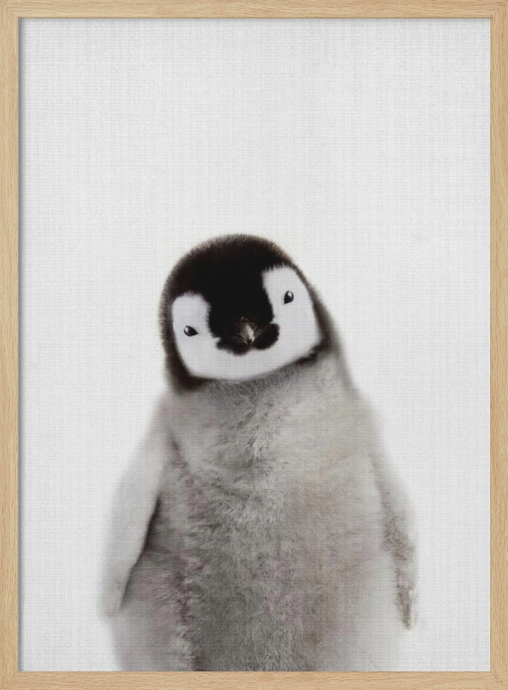 版画 Baby Penguin Peekaboo Baby Penguin , By Lola Peacock,Wall Art Canvas Print,