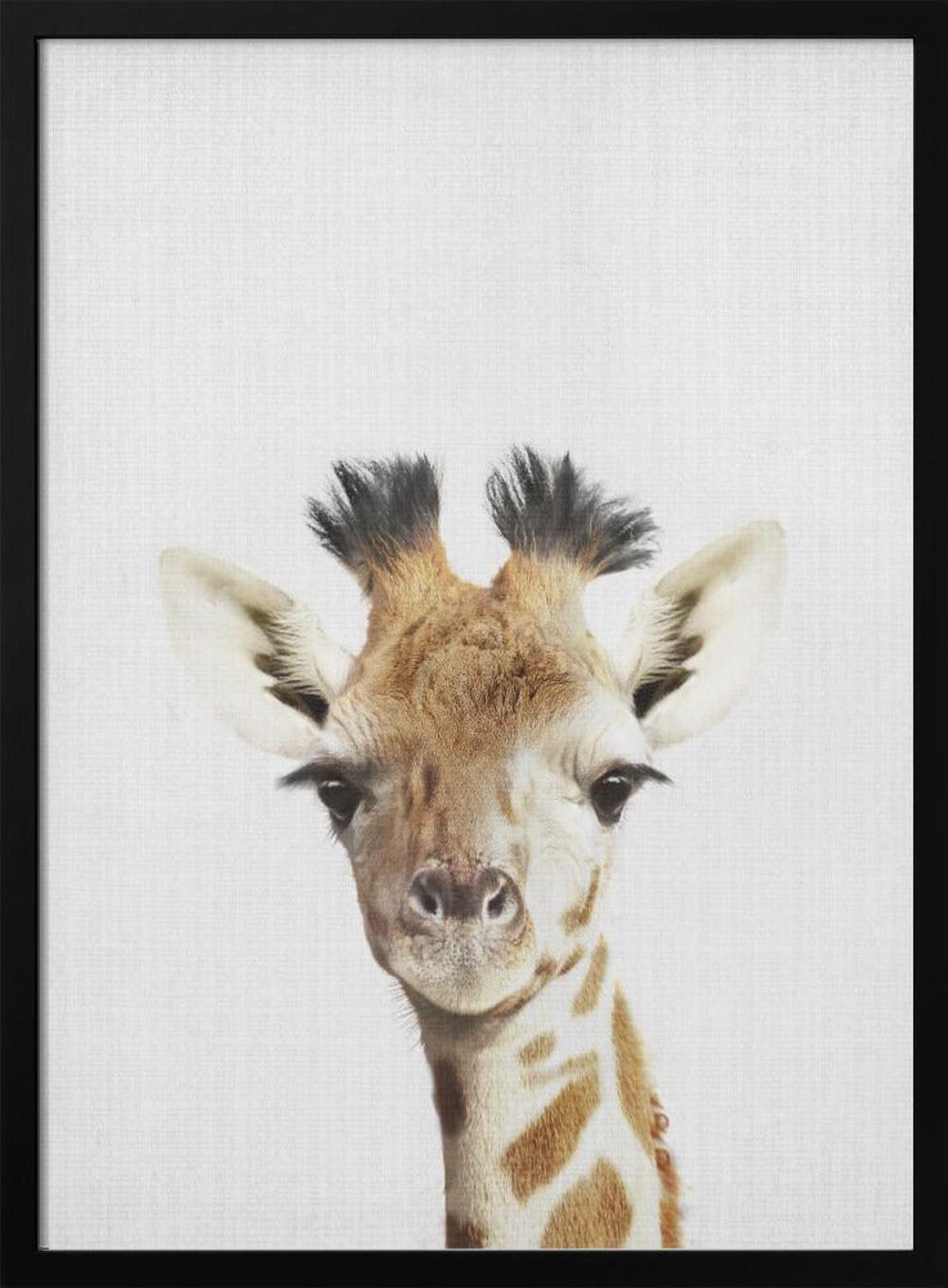 wall-art-print-canvas-poster-framed-Peekaboo Giraffe , By Lola Peacock-3
