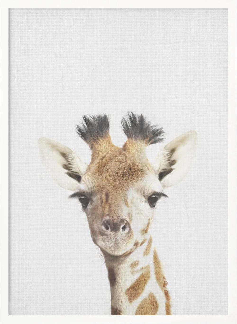 wall-art-print-canvas-poster-framed-Peekaboo Giraffe , By Lola Peacock-5
