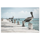 wall-art-print-canvas-poster-framed-Pelican At The Pier , Sea Ocean And Beach Print-by-Gioia Wall Art-Gioia Wall Art