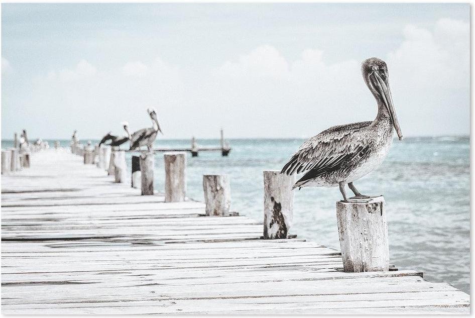 wall-art-print-canvas-poster-framed-Pelican At The Pier , Soft Tone-by-Gioia Wall Art-Gioia Wall Art