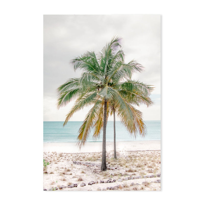 wall-art-print-canvas-poster-framed-Percy Island Palm, Middle Percy Island, Queensland , By Earth Sea & Me , By Earth Sea & Me-GIOIA-WALL-ART