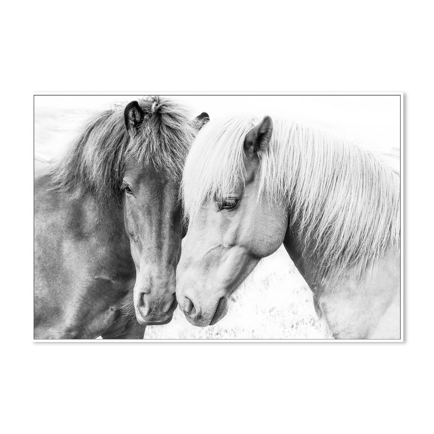 wall-art-print-canvas-poster-framed-Pienaar, Horse Love-5