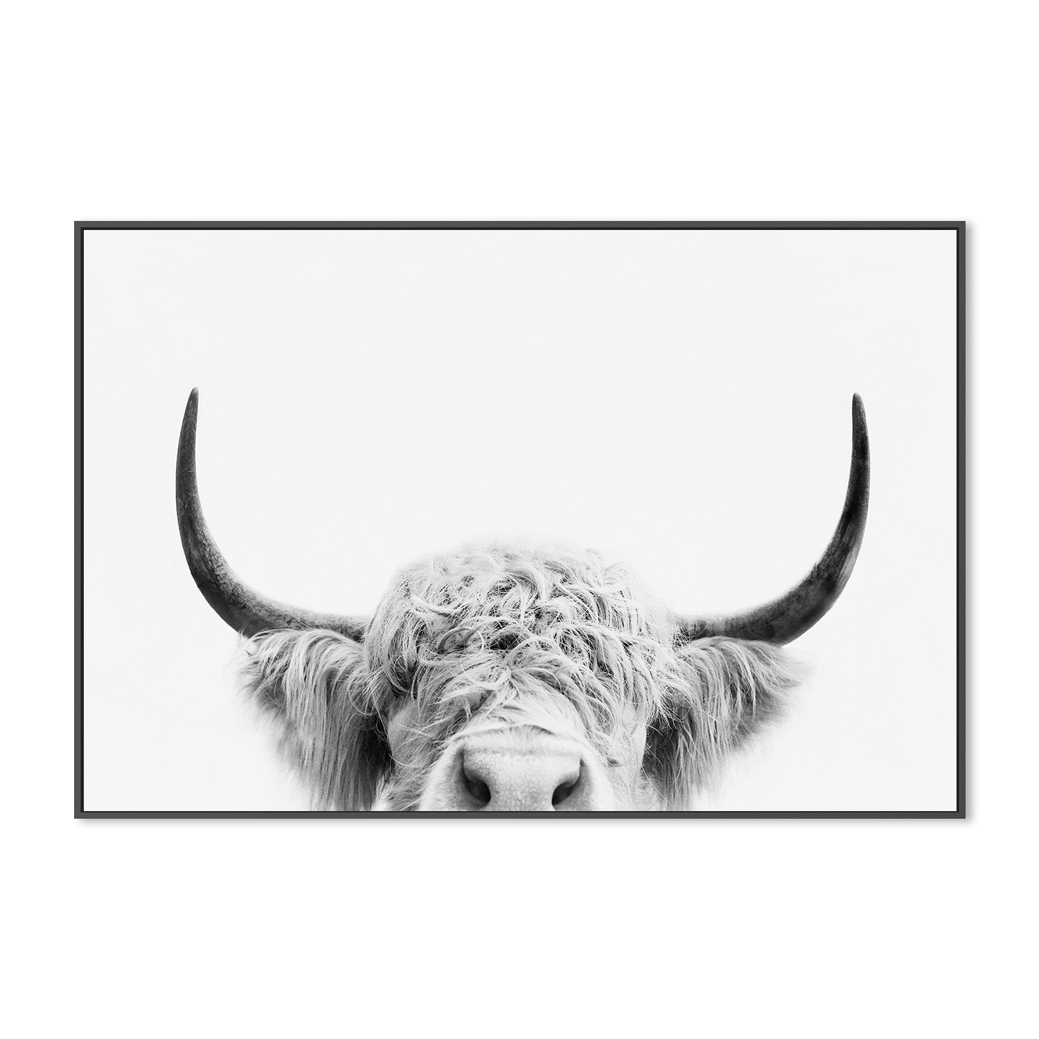 wall-art-print-canvas-poster-framed-Pienaar, Peeking Cow-3