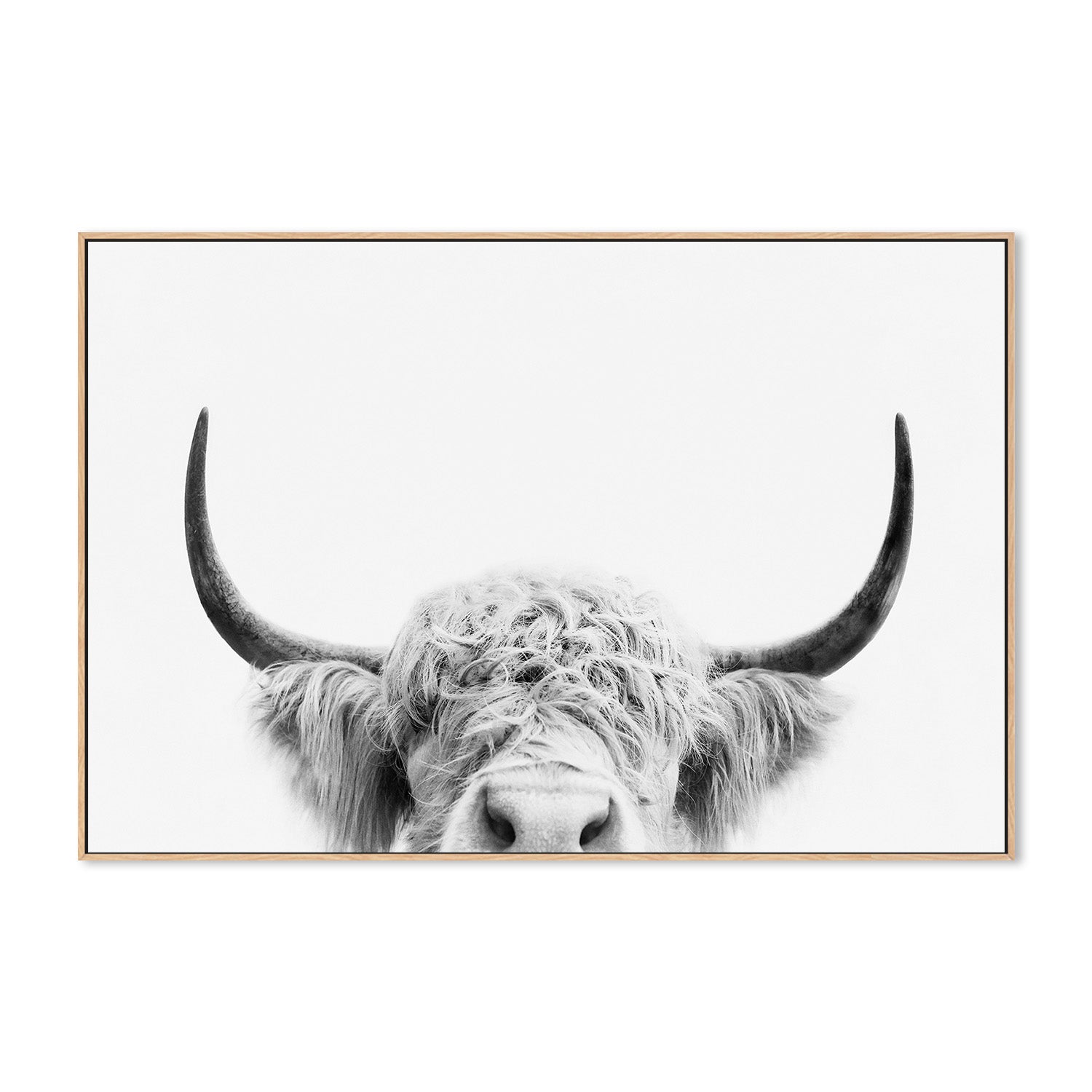 wall-art-print-canvas-poster-framed-Pienaar, Peeking Cow-4