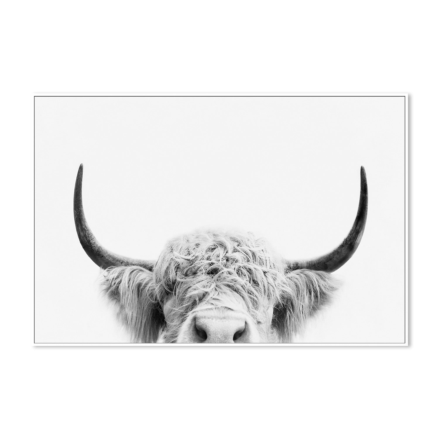 wall-art-print-canvas-poster-framed-Pienaar, Peeking Cow-5