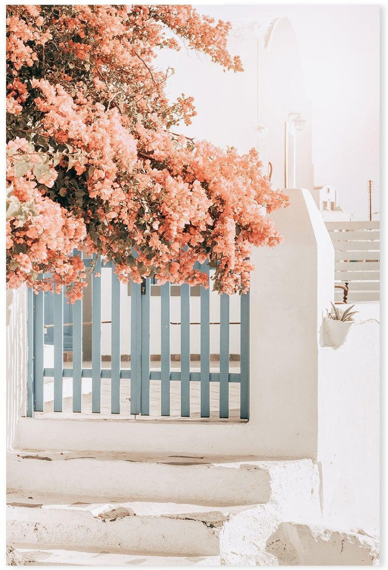 Pink Bougainvillea Flower and Blue Fence in Santorini-Gioia-Prints-Framed-Canvas-Poster-GIOIA-WALL-ART